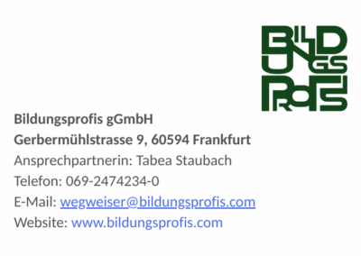 Bildungsprofis gGmbH – Wegweiser Gesundheitsbranche