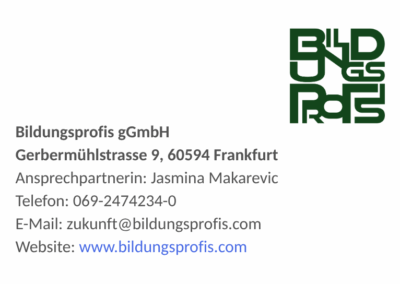 Bildungsprofis gGmbH-Perspektive Zukunft